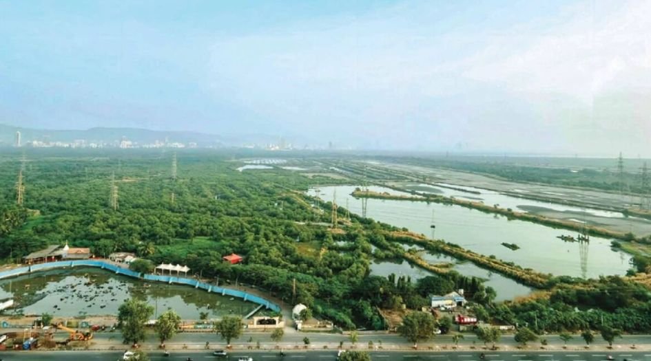 Prithvi-Pearl-Connected-Living-with-the-view